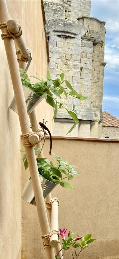 Apartment Tresors De La Cathedrale, Maison De Sur 4 Niveaux Narbonne