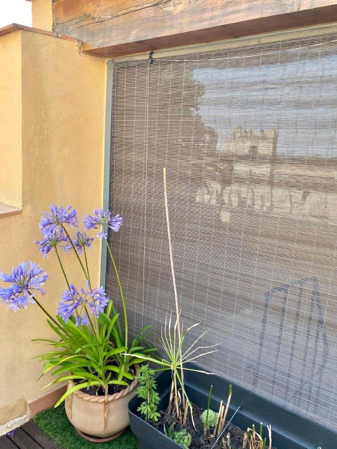 Tresors De La Cathedrale, Maison De Sur 4 Niveaux Narbonne